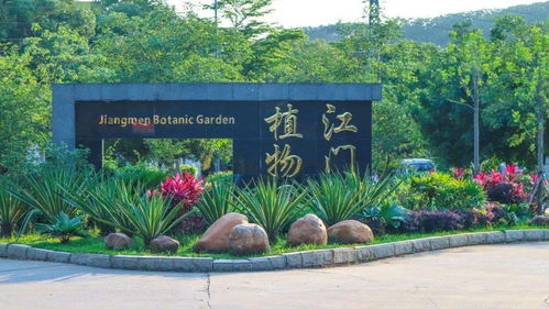 首屆杜阮羊肉美食節盛大啟動，融合美食與冰雪體驗